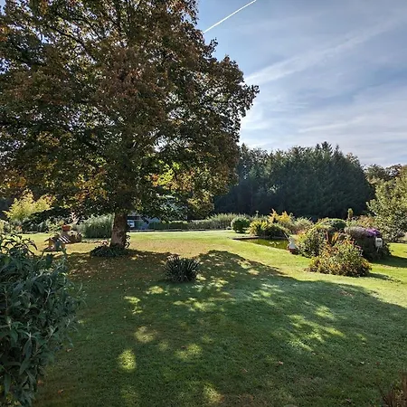 ベッド・アンド・ブレックファスト Sejour Paisible A La Campagne Pres D'epinal - Familiale Ideale Pour Amoureux De La Nature - Fr-1-589-612